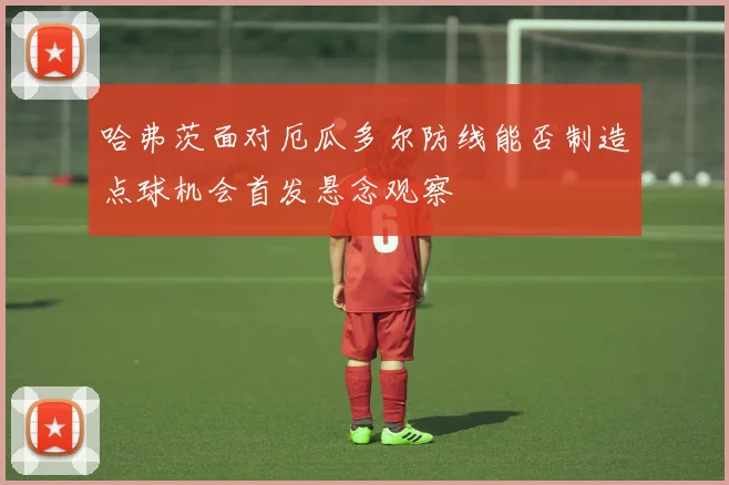 哈弗茨面对厄瓜多尔防线能否制造点球机会首发悬念观察