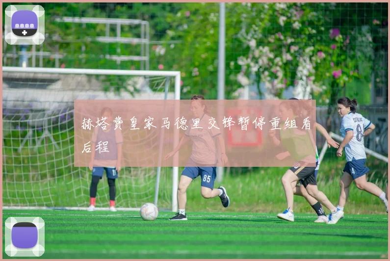 赫塔费皇家马德里交锋暂停重组看后程