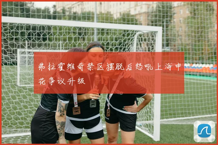 弗拉霍维奇禁区摆脱后怒吼上海申花争议升级